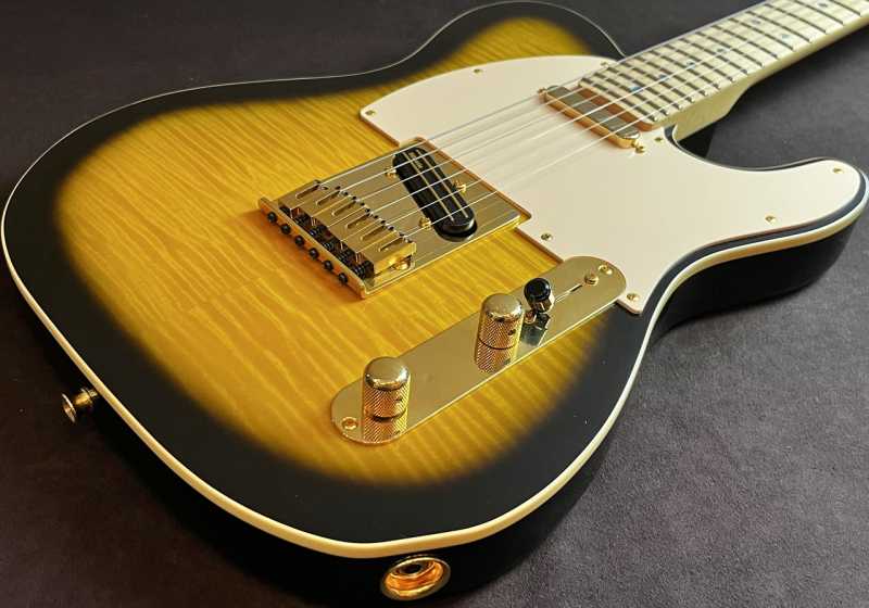 Fender Made in Japan Ritchie Kotzen Telecaster 買取