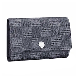 Louis Vuitton Monogram Street Style Leather Logo Card Holders (M82253) in  2023